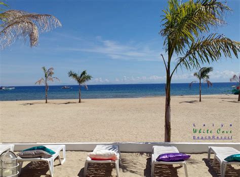 Laiya White Cove Beach Resort .